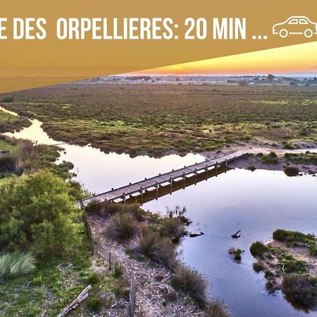 Appartamento Centre Historique - Free Parking - Self Checkin - Wifi - Industriel - SleepntripBéziers Esterno foto